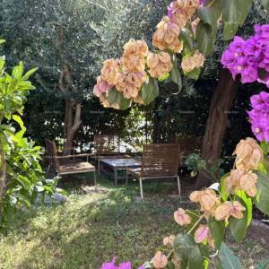 PULA, centar – prodaja / stan 55 m² s vrtom i parkirnim mjestom