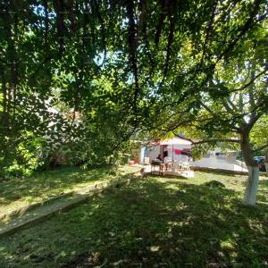 Pula!  Prizemnica s velikim vrtom i terasom.