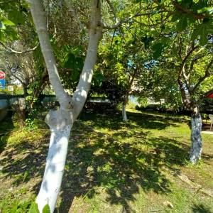 Pula!  Prizemnica s velikim vrtom i terasom.