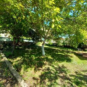 Pula!  Prizemnica s velikim vrtom i terasom.