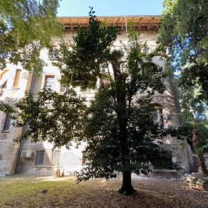 Pula! Stan u centru grada!