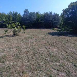 Rakalj, kamena kuća s 1.920 m² građevinskog zemljišta