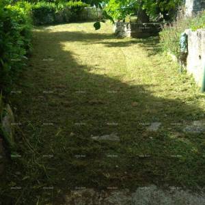 Rakalj, kamena kuća s 1.920 m² građevinskog zemljišta