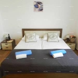 Raša – Vila s privatnim bazenom i vrtom