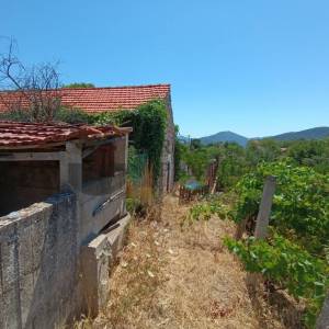 RUŠEVINA I GRAĐEVINSKO ZEMLJIŠTE - PRILIKA!