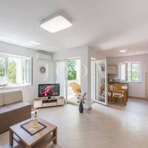 Samostojeća kuća sa četiri apartmana i bazenom