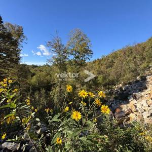 Saršoni, 3500m2, građevinsko zemljište za investiciju