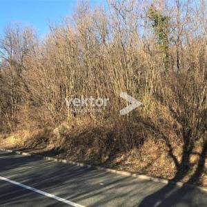 Saršoni, poljoprivredno zemljište 4.000m2