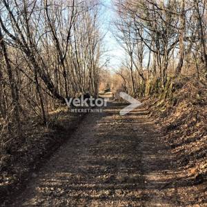 Saršoni, poljoprivredno zemljište 4.000m2