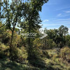 Saršoni, velika građevinska parcela