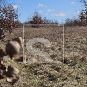 Savršena lokacija za obiteljsku kuću ili vilu