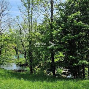 Severin na Kupi, zemljište uz Kupu, 73.000m2, za investiciju