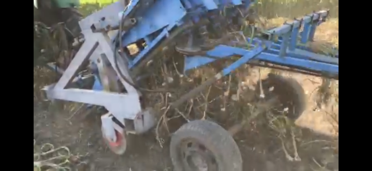 Sijačica i vadilica za češnjak