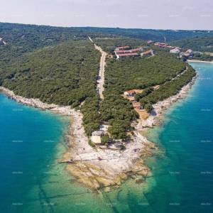 Stan u Dugoj Uvali: udobnost i priroda na dohvat ruke, 500 m od mora