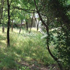 Sušačka Draga, zemljište 2.160m2