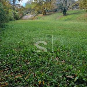 Terasirano zemljište 2082 m² s visokim hrastovima