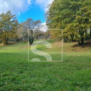 Terasirano zemljište 2082 m² s visokim hrastovima