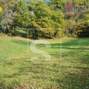 Terasirano zemljište 2082 m² s visokim hrastovima