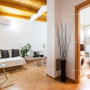 Veli Vrh! Pula! Dvije prizemnice s bazenom!