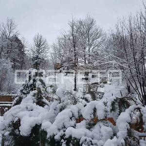 Vikendica u blizini Opatije i Trsta, okružena prirodom