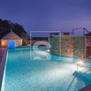 Vila s jedinstvenim bazenom 