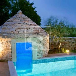 Vila s jedinstvenim bazenom 