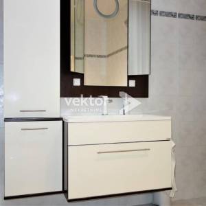 Viškovo, obiteljska kuća sa velikom okućnicom