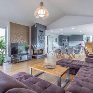 Višnjan, moderna kuća s bazenom