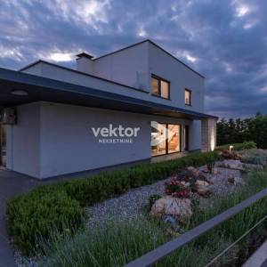 Višnjan, moderna kuća s bazenom