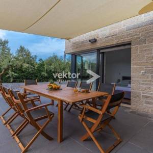 Višnjan, moderna kuća s bazenom