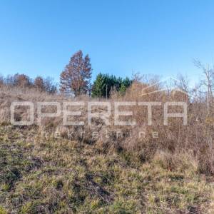 Vižinada okolica-građevinsko zemljište