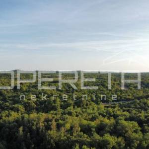 Vodnjan, Vodnjan, 8.000,00 m2, 350.000,00 EUR