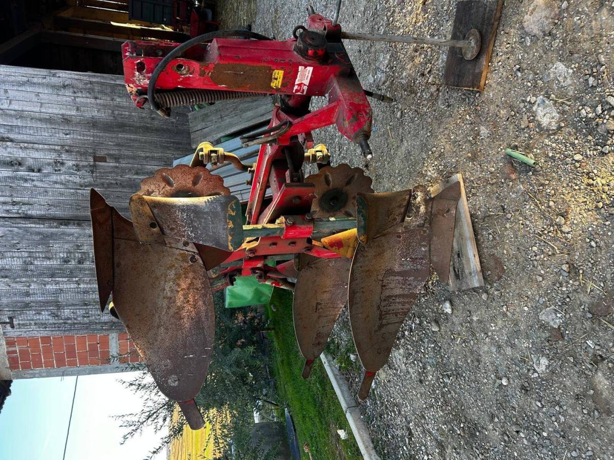 Vogel Noot L950