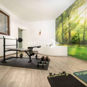 Vrbnik, kamena vila s bazenom