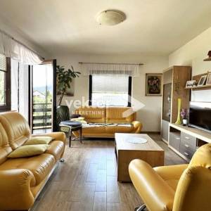 Vrbovsko, samostojeća kuća s 2.000m2 okućnice i poslovnim prostorom