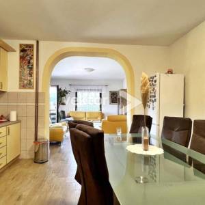 Vrbovsko, samostojeća kuća s 2.000m2 okućnice i poslovnim prostorom