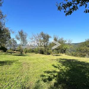 Vrbovsko, uređena goranska kuća s 7.700m2 zemljišta