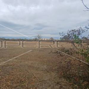 Vukomerička, Gradići, 42.278,00 m2, 6.350.000,00 EUR