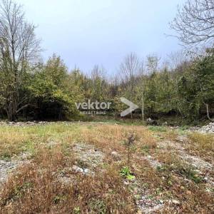 Zlobin, 12.000m2 zemljište