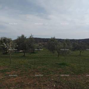 Atraktivno zemljište, 5.716 m²,okolica Poreča