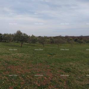 Atraktivno zemljište, 5.716 m²,okolica Poreča