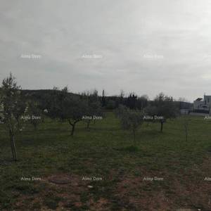 Atraktivno zemljište, 5.716 m²,okolica Poreča