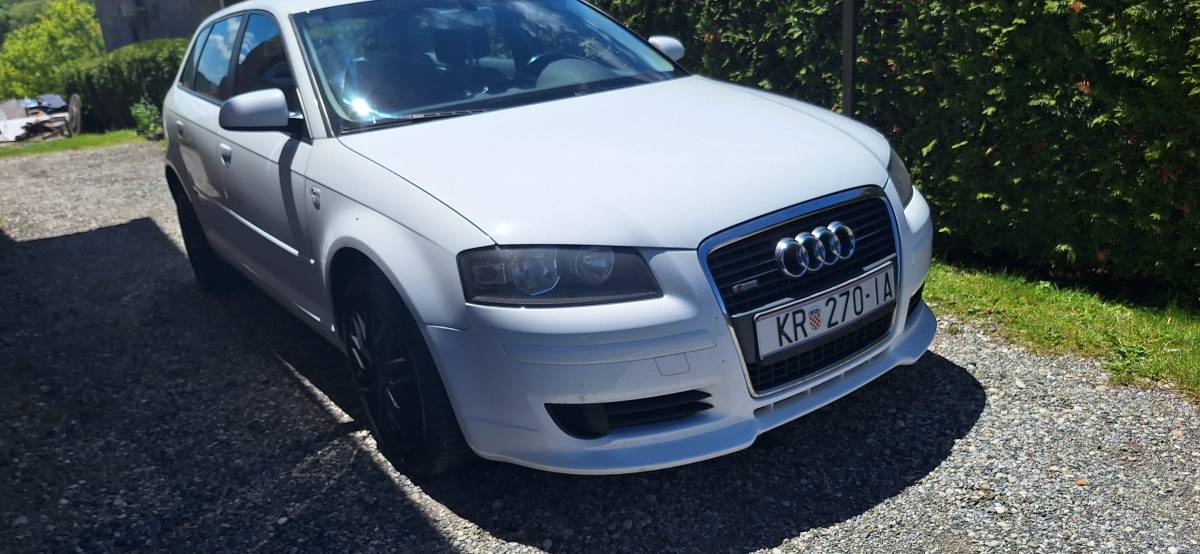 AUDI A3-Promjenjen lanc