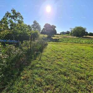 Blizina Ližnjana u malom istarskom mjestu, samostojeća kuća površine 103 m²