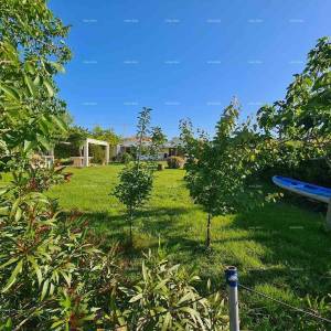 Blizina Ližnjana u malom istarskom mjestu, samostojeća kuća površine 103 m²