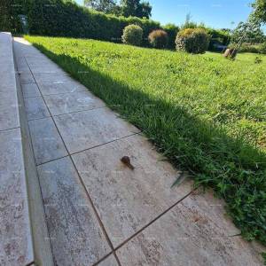 Blizina Ližnjana u malom istarskom mjestu, samostojeća kuća površine 103 m²