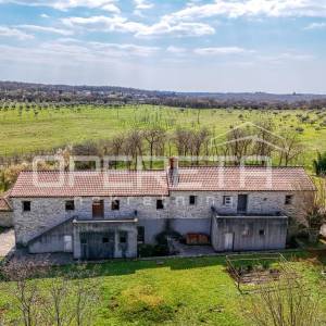 Buje, Kaštel - imanje 1909 m2 s ugostiteljskom namjenom i smještajem