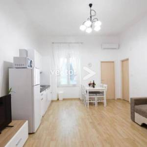 Centar, 1-soban s dnevnim boravkom, najam