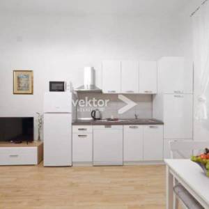 Centar, 1-soban s dnevnim boravkom, najam