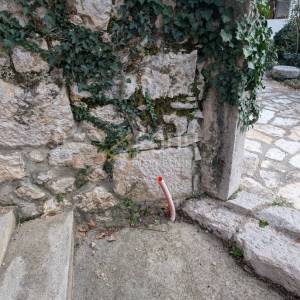 Crikveničko zaleđe, Grižane, dvije etaže, stan + konoba, vrt